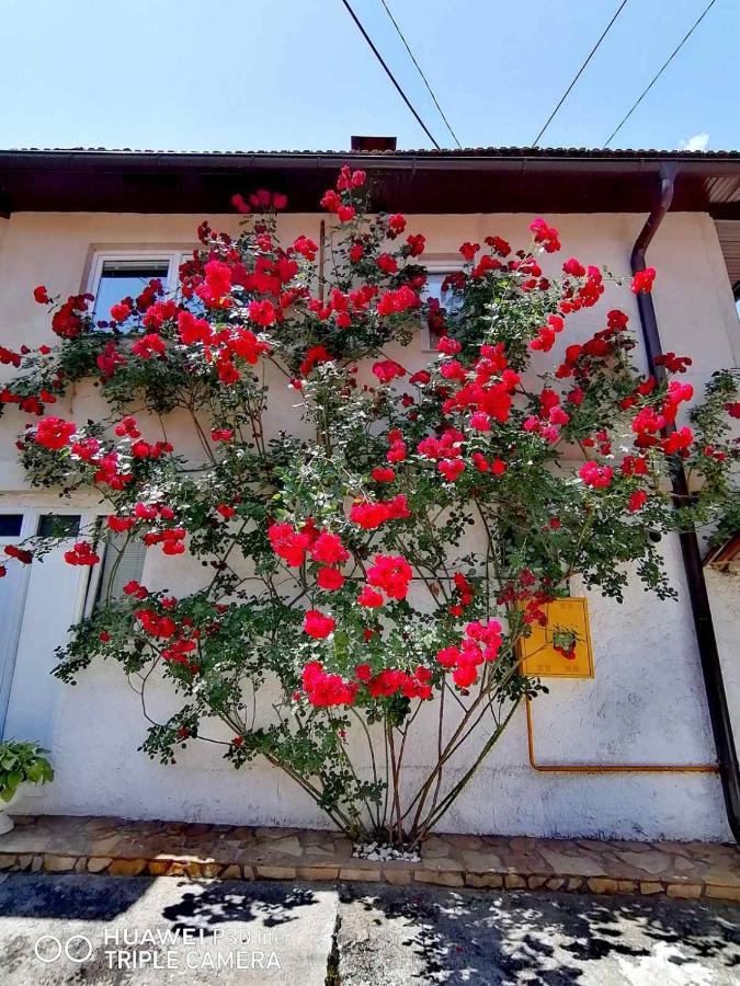 Modern&Cozy Bosnian House With Garden+Free Parking Hotel Saraievo Exterior foto