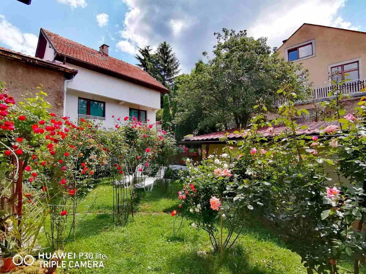 Modern&Cozy Bosnian House With Garden+Free Parking Hotel Saraievo Exterior foto