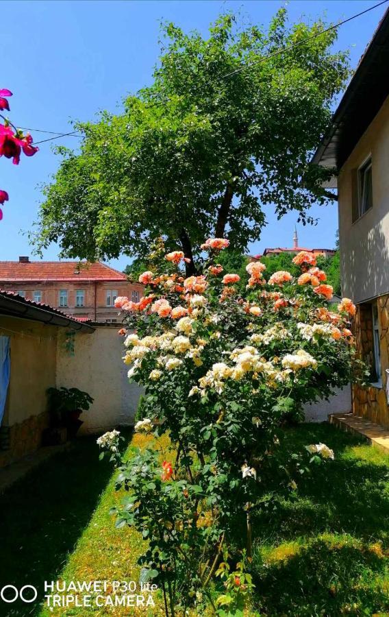 Modern&Cozy Bosnian House With Garden+Free Parking Hotel Saraievo Exterior foto