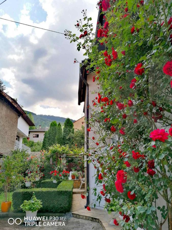 Modern&Cozy Bosnian House With Garden+Free Parking Hotel Saraievo Exterior foto