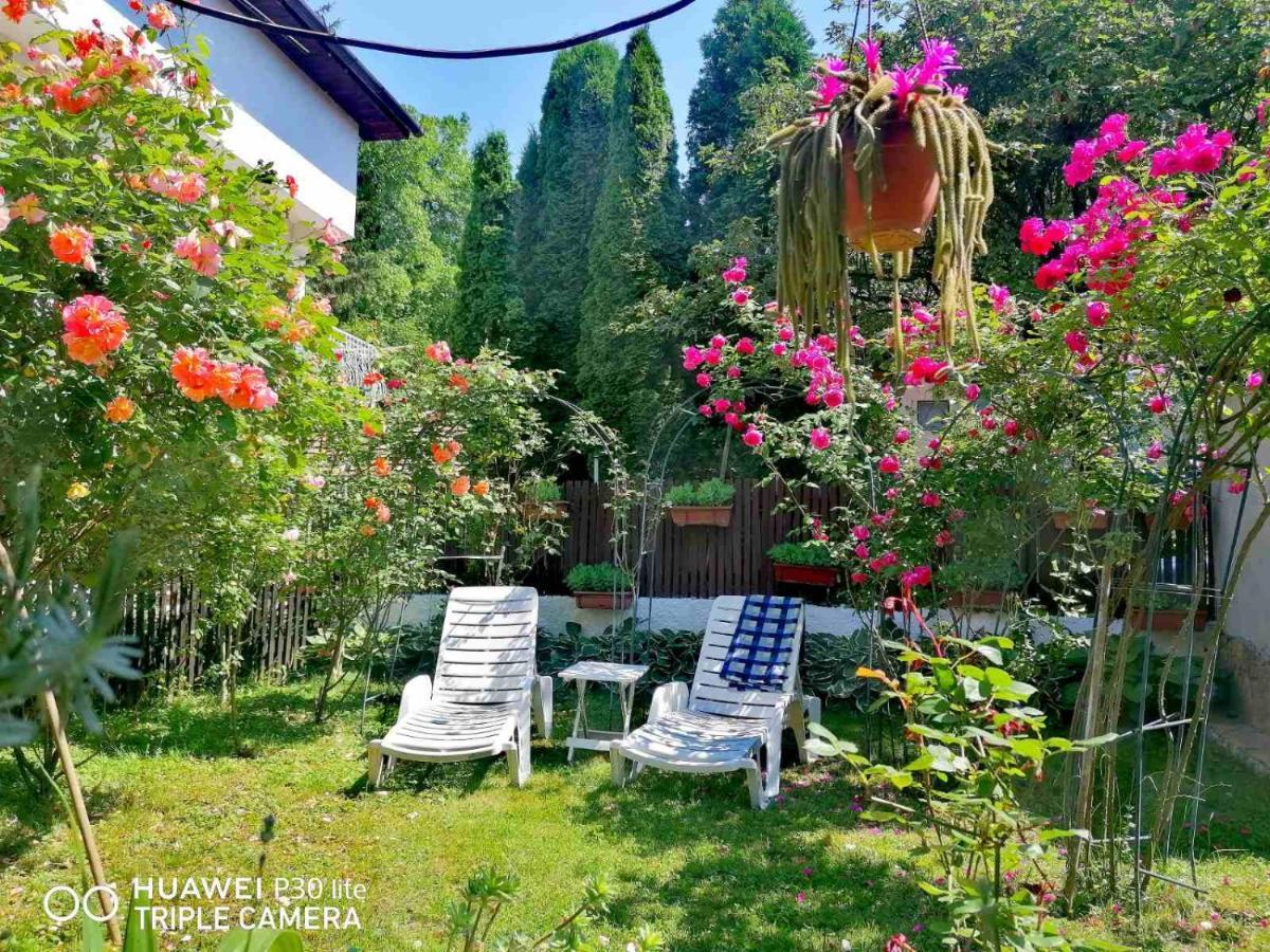 Modern&Cozy Bosnian House With Garden+Free Parking Hotel Saraievo Exterior foto